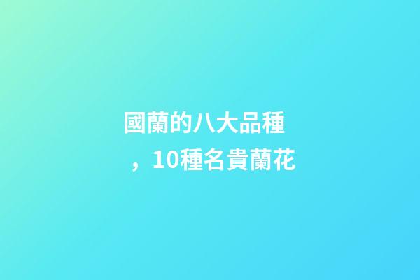 國蘭的八大品種，10種名貴蘭花-第1張-觀點-玄機派
